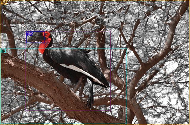 data/birds-511273_640.jpg