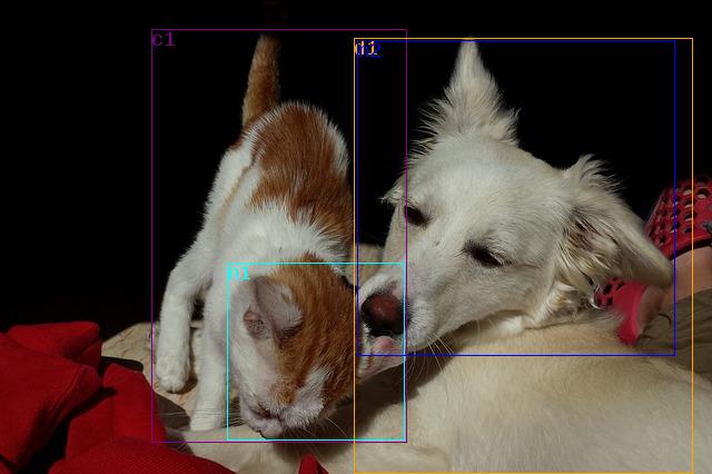 data/cat-and-dog-493633_640.jpg