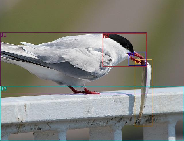 data/arctic-tern-361770_640.jpg
