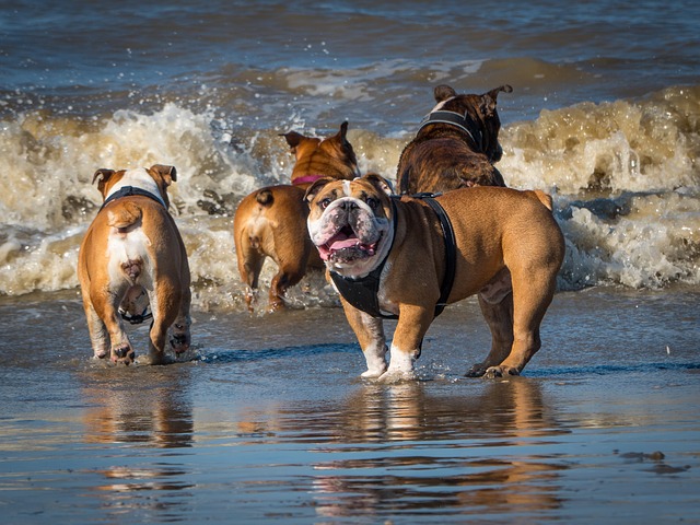 data/beach-1749854_640.jpg