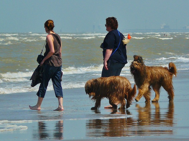 data/beach-391256_640.jpg