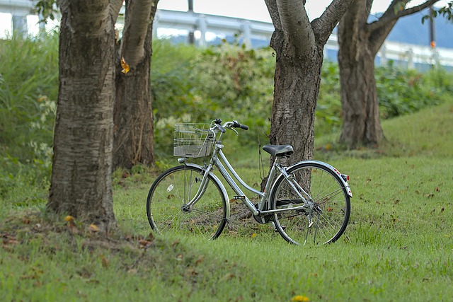 data/bicycle-5550672_640.jpg