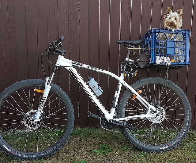 data/bike-riding-1606786_640.jpg