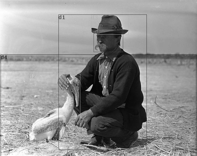 data/bird-387278_640.jpg
