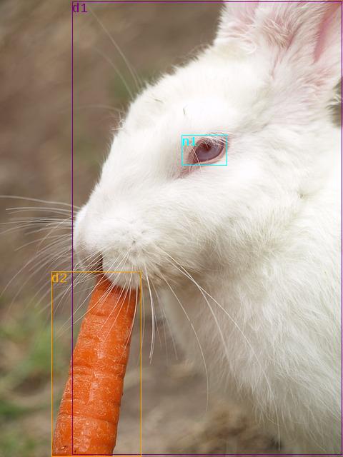 data/bunny-425995_640.jpg