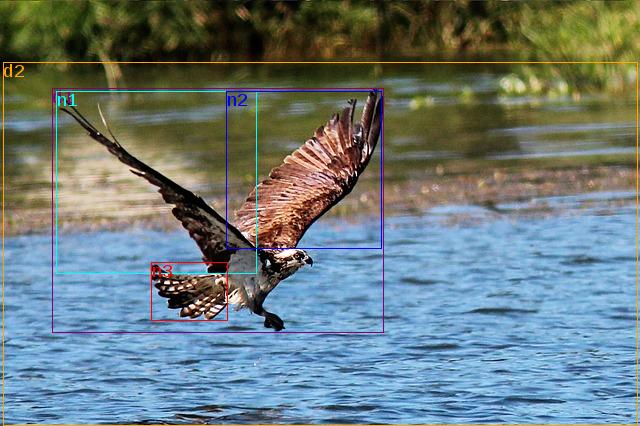 data/buteo-453352_640.jpg