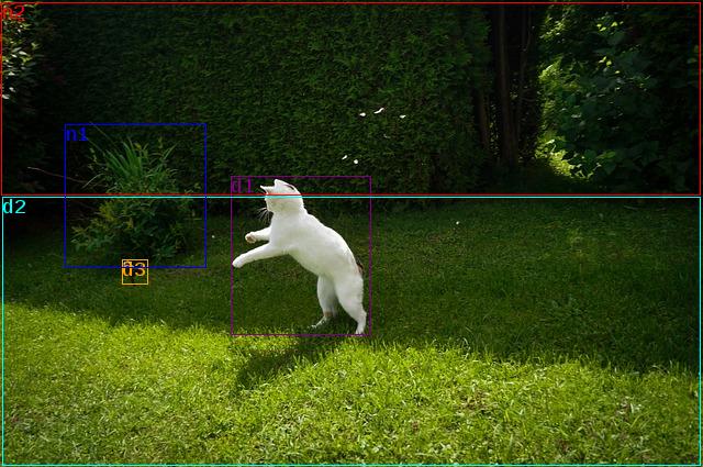 data/cat-205522_640.jpg