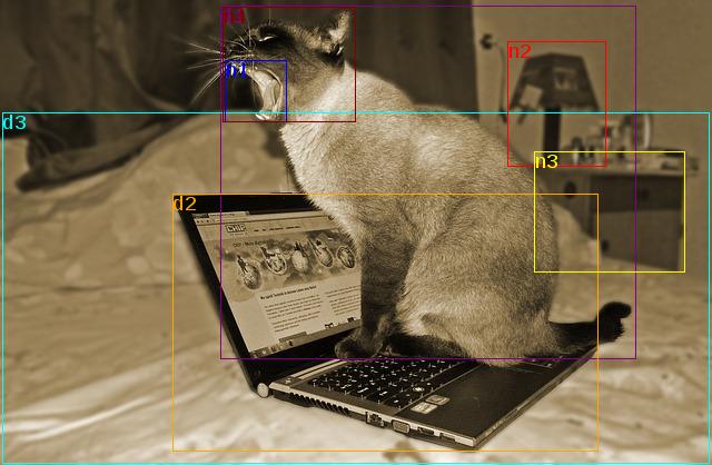 data/cat-244060_640.jpg