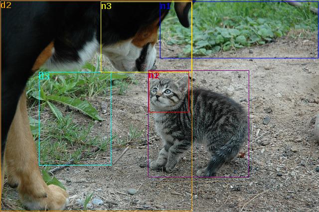 data/cat-245750_640.jpg
