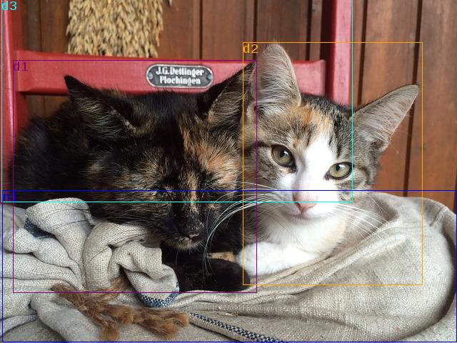data/cat-410195_640.jpg