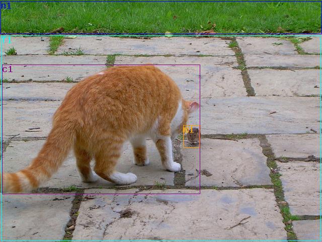 data/cat-512020_640.jpg