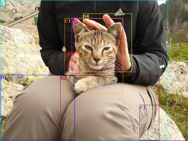 data/cat-9251_640.jpg
