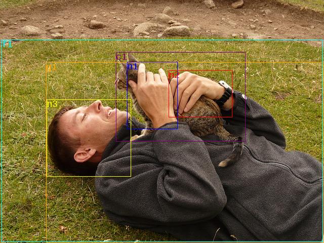data/cat-9256_640.jpg