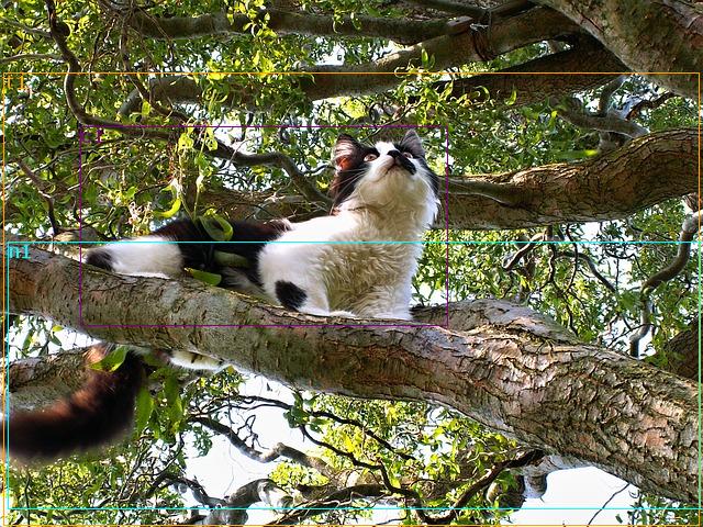data/cat-93037_640.jpg