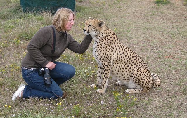 data/cheetah-525169_640.jpg