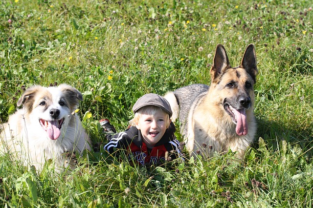 data/child-455469_640.jpg