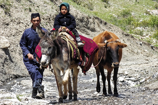 data/country-life-4697111_640.jpg