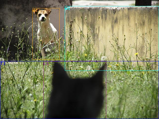 data/dog-188177_640.jpg