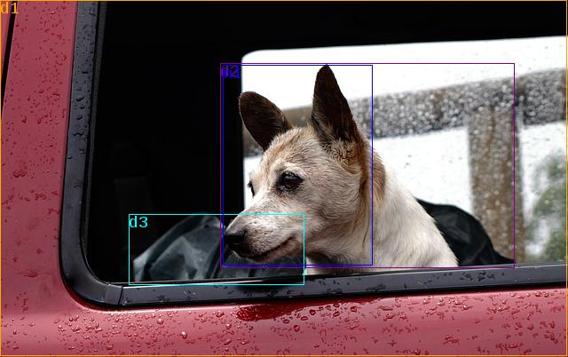 data/dog-425059_640.jpg