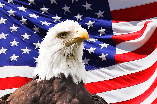 data/eagle-219679_640.jpg