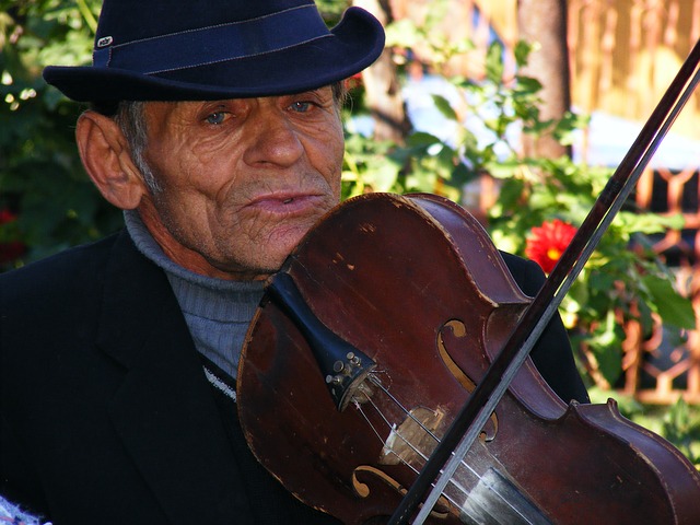 data/fiddler-88423_640.jpg