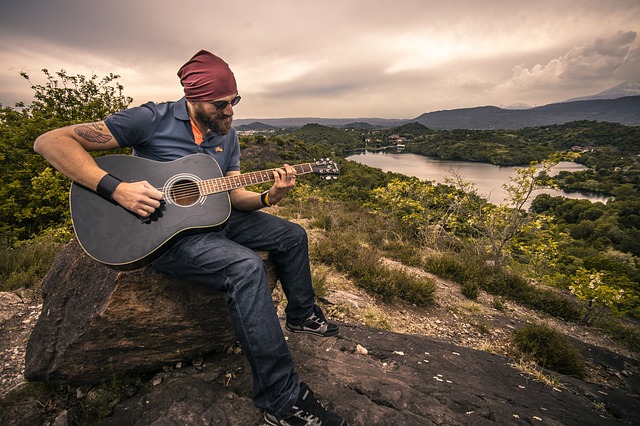 data/guitarist-407212_640.jpg