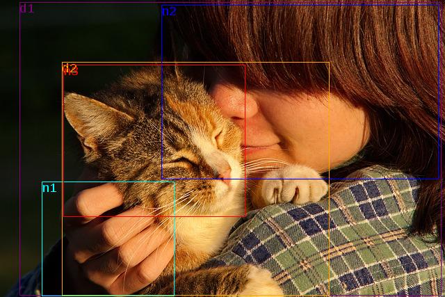 data/kat-163341_640.jpg