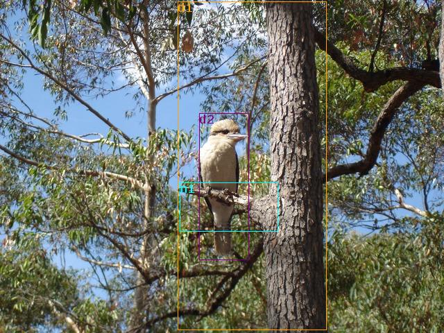 data/kookaburra-2201_640.jpg