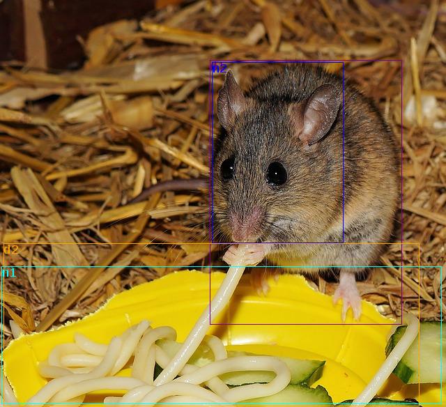 data/much-tit-mouse-415974_640.jpg