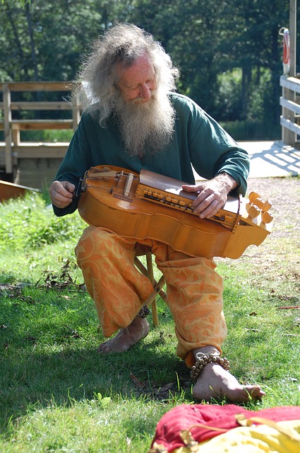 data/musician-53926_640.jpg