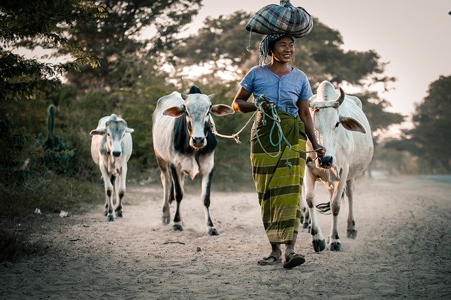 data/myanmar-4708901_640.jpg