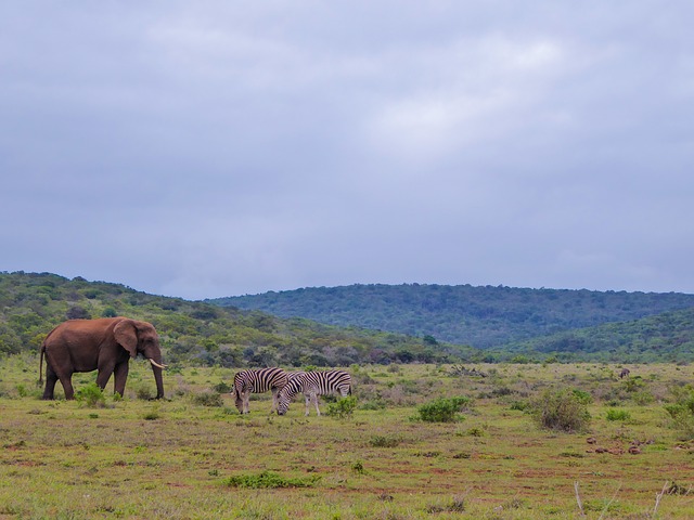 data/national-park-2776278_640.jpg