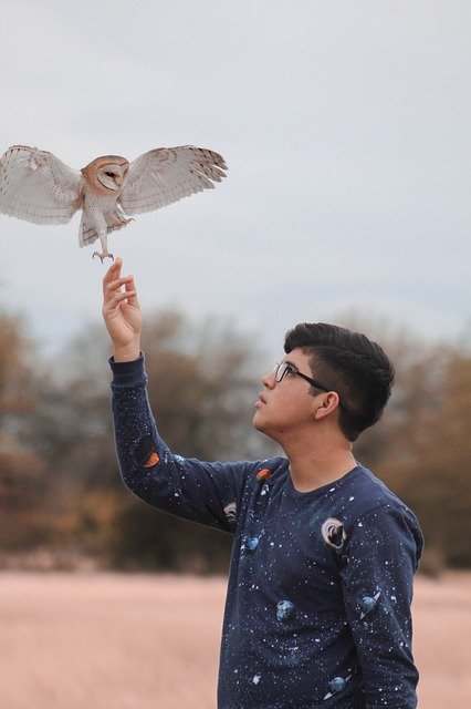 data/nature-3276100_640.jpg