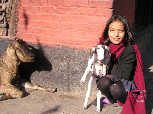 data/nepal-404_640.jpg