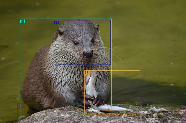 data/otter-365371_640.jpg