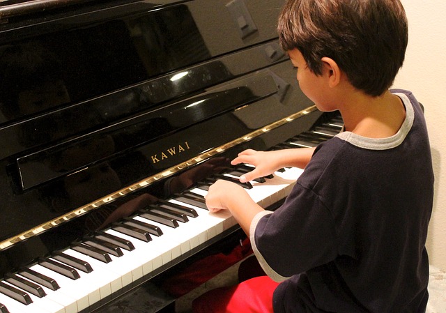data/piano-78492_640.jpg