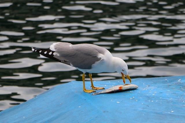 data/river-744560_640.jpg