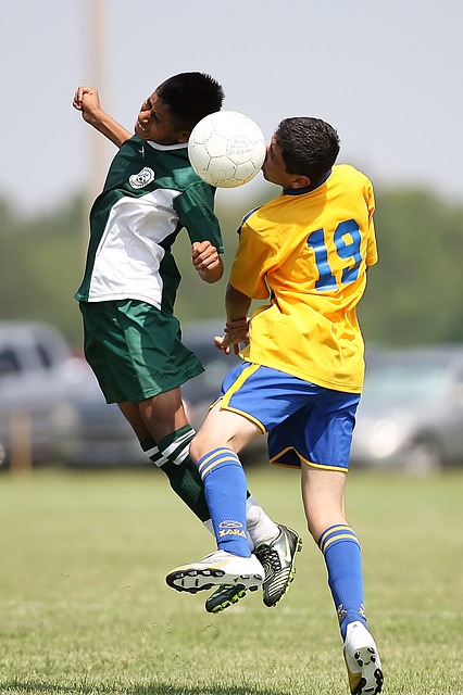 data/soccer-1445035_640.jpg