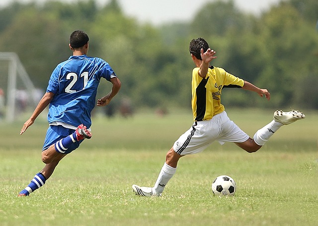 data/soccer-1457988_640.jpg