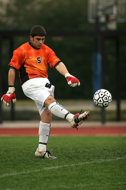 data/soccer-1505693_640.jpg