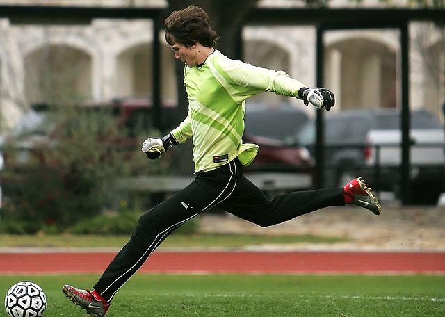data/soccer-1531812_640.jpg