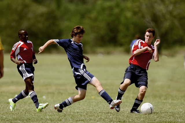 data/soccer-1591903_640.jpg