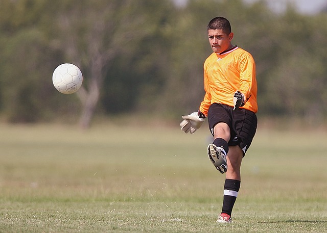 data/soccer-1648403_640.jpg