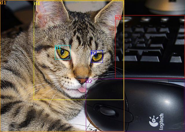data/tabby-116063_640.jpg